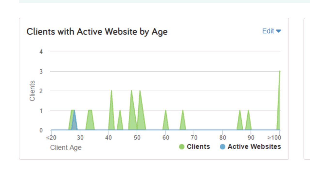 clients-with-active-website-by-age-gif